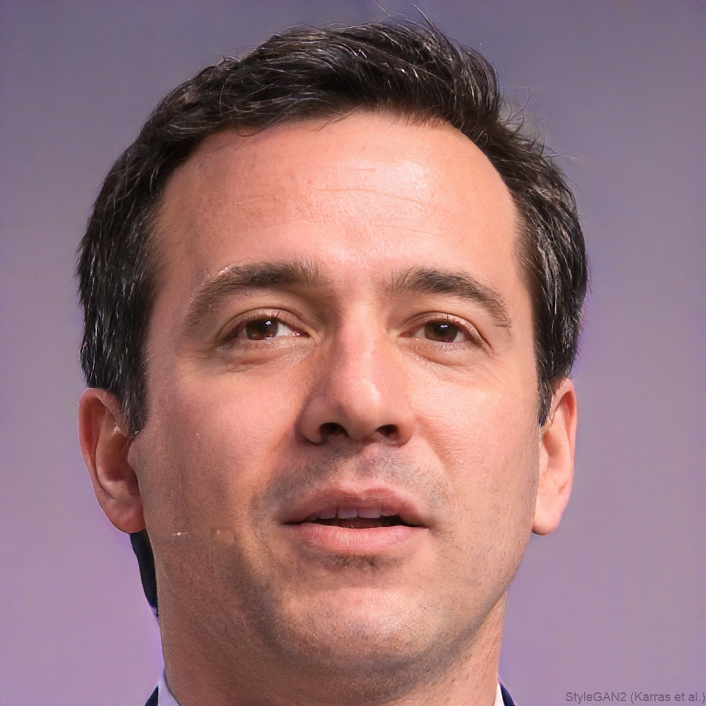 Mara Ionescu, Program Oversight